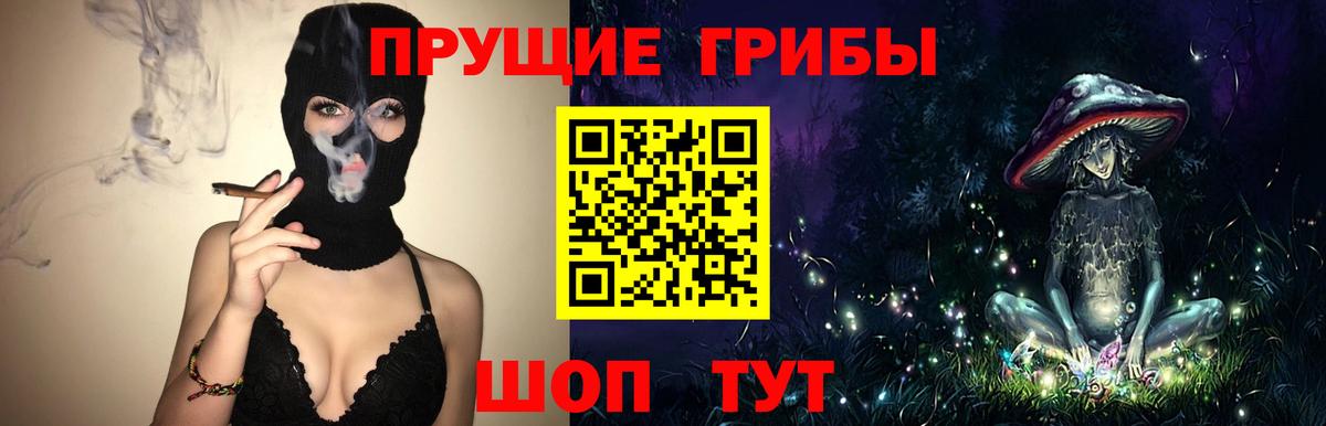 Псилоцибиновые грибы GOLDEN TEACHER  Галлюциногенные грибы ЛСД  Тулун  Вход с VPN 